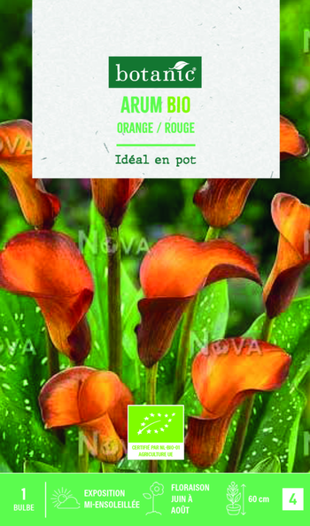 Visuel 1 du produit Bulbe de fleurs Arum rouge orangé bio botanic® - 1 bulbe