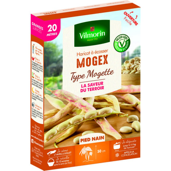 Visuel 1 du produit Haricot Mogex type Mogette Vilmorin - graines à semer