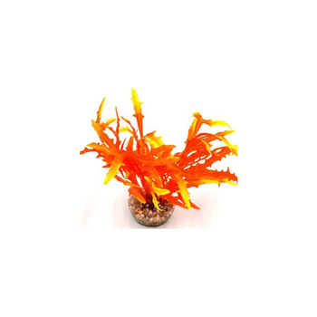 Visuel 1 du produit Massif d’algue assorti orange en plastique 8 cm