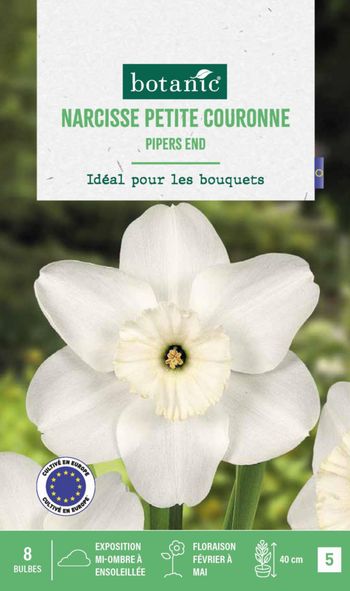 Visuel 1 du produit Narcisse pipers end botanic® - 8 bulbes