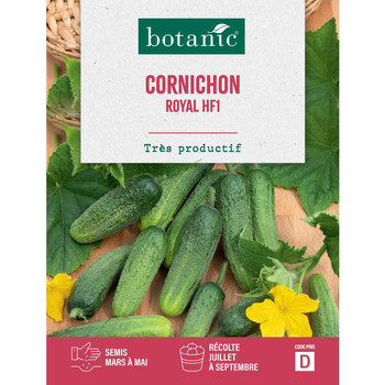 Visuel 1 du produit Graines de cornichon royal HF1 botanic® - graines à semer