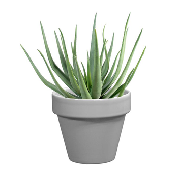 Visuel 1 du produit Pot horticole émaillé gris Ø 10 cm