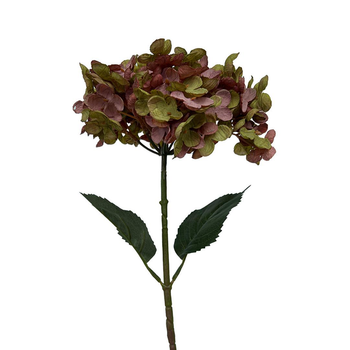 Visuel 1 du produit Tige d’hortensia rose et vert en papier aspect fleur séchée Naturalys - 65 cm