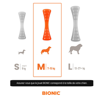 Visuel 1 du produit Jouet pour chien en caoutchouc coloris orange bâton Bionic Urban Stick - Taille M