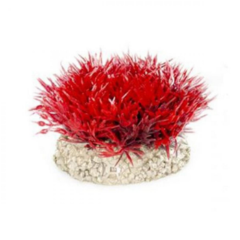 Visuel 1 du produit Plante artificielle crystalwort moss, rouge, AQUA DELLA, modèle S - 5cm