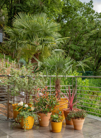 Visuel 1 du produit Soucoupe jaune tournesol pour pot Poetic Joy 60 - Ø 45,6 cm