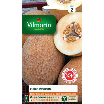 Visuel 1 du produit Melon Ananas d'Amérique Vilmorin - graines à semer