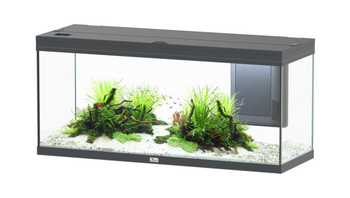 Visuel 1 du produit Aquarium coloris gris Aquatlantis Volga LED 2.0 240 L - 122 x 42 x 55 cm