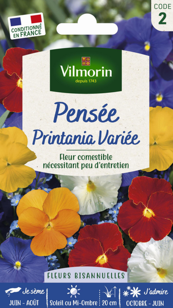 Visuel 1 du produit Graines de Pensée Printania variée Vilmorin - graines à semer