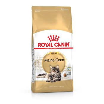 Visuel 1 du produit Croquette pour chat adulte Maine Coon Royal Canin - 4 kg