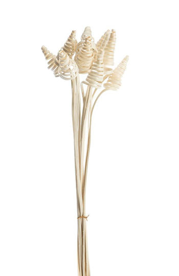 Visuel 1 du produit Lot de 10 cônes de canne naturel artificielles coloris beige - 45 à 55 cm