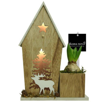 Visuel 1 du produit Jacinthe en pot déco. La composition de 21 cm