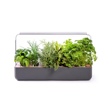 Visuel 1 du produit Potager coloris graphite Gourmet Indoor Véritable avec 6 lingots fournis - 1 étage