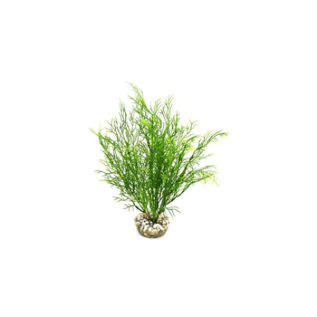 Visuel 1 du produit Salicorne verte en plastique 24 cm