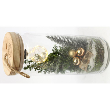 Visuel 1 du produit Terrarium de noël lumineux déco elwoodii - La composition