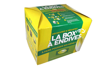 Visuel 1 du produit La box à endives Véritable® - 12 à 16 racines