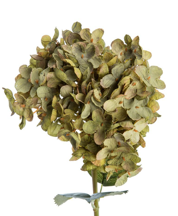 Visuel 1 du produit Fleur artificielle en papier hortensia coloris vert - H 65 cm