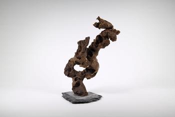 Visuel 1 du produit Décoration pour aquarium Aquadeco Congo Tree grand modèle - 35 cm