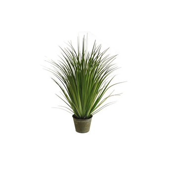 Visuel 1 du produit Graminée pot zinc 80 cm