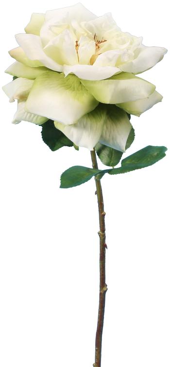 Visuel 1 du produit Rose ancienne artificielle coloris blanc - 45 cm