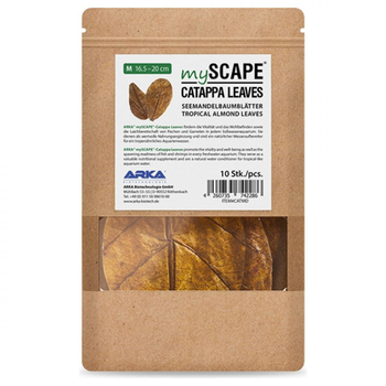 Visuel 1 du produit Feuilles de Badamier naturelles taille M, ARKA mySCAPE-Catappa - 10 pièces de 16.5/20 cm
