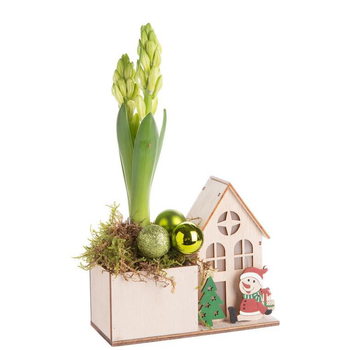 Visuel 1 du produit Composition de Noël jacinthe multicolore maison en bois
