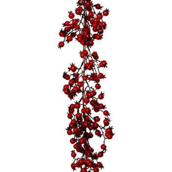 Visuel 1 du produit Guirlande de cynorhodons rouges - 120 cm