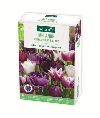 Visuel 1 du produit Boite tulipe violet & white X20