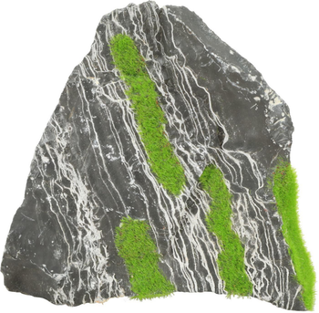 Visuel 1 du produit Pierre bicolore avec plante aquatique pour aquarium Zolux stone « ki pousse » M