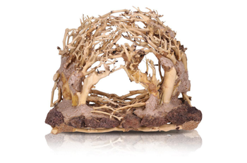 Visuel 1 du produit Décor pour aquarium coloris marron Aquavie Forêt Nature R - Taille MM