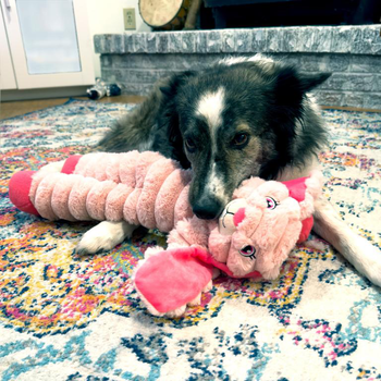 Visuel 1 du produit Peluche pour chien bunny Kong coloris rose - 34 x 9 x 49,5 cm