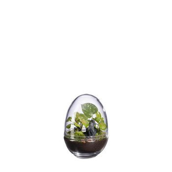 Visuel 1 du produit Terrarium autonome Dyno Landscape botanic® - taille S