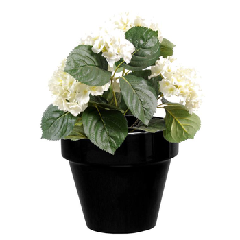 Visuel 1 du produit Pot horticole en terre cuite émaillée Noir – D19 x H17