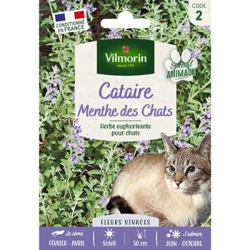 Visuel 1 du produit Cataire spéciale pour animaux Menthe des Chats Vilmorin - graines à semer