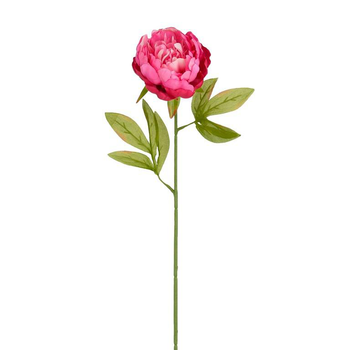 Visuel 1 du produit Tige de pivoine artificielle en plastique recyclé fuchsia - 67 cm