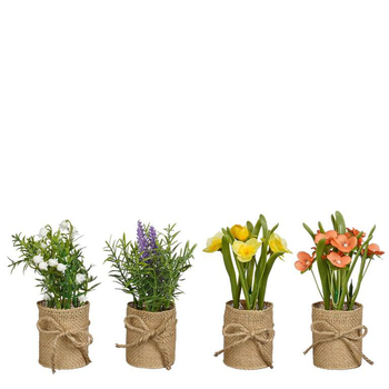 Visuel 1 du produit Plante artificielle fleurie en pot de jute - Ø 5 x H 15,5 cm