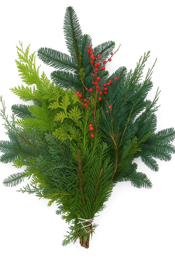 Visuel 1 du produit Bouquet de conifères mix avec ilex coloris vert - 5 tiges