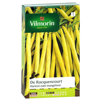 Visuel 1 du produit Haricot nain mangetout de Rocquencourt Vilmorin - graines à semer