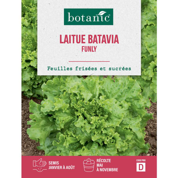 Visuel 1 du produit Graines de laitue batavia funly botanic® - graines à semer