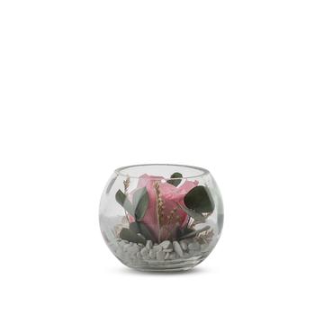 Visuel 1 du produit Verrine de végétaux stabilisés rose pastel et eucalyptus Naturalys Venezia 11 - Ø 11 x H 11 cm