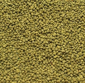 Visuel 1 du produit Nourriture spéciale poissons rouges - formulation unique JBL NovoPearl - contenance 250ml