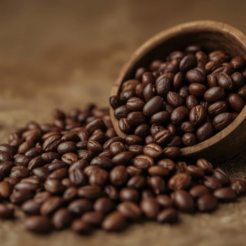 Visuel 2 du produit Café Les Arabicas d’Exception Destination - 1 kg