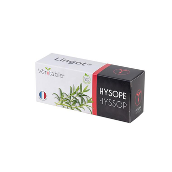 Visuel 1 du produit Lingot® Hysope bio pour potager Véritable