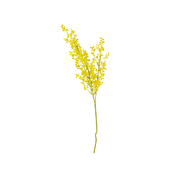 Visuel 1 du produit Tige de mimosa artificiel fleuri jaune - Ø 20 x H 70 cm