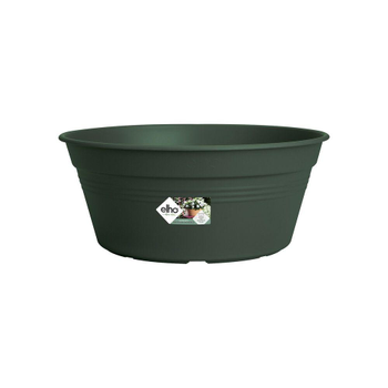 Visuel 1 du produit Coupe Green Basics coloris Leaf green Ø 33 cm
