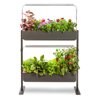 Visuel 1 du produit Potager coloris graphite Gourmet Indoor Véritable - 2 étages