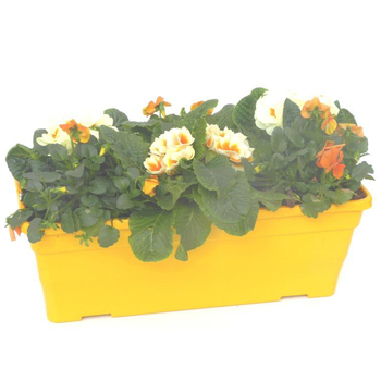 Visuel 1 du produit Jardinière de Printemps multicolore. La jardinière de 40 cm