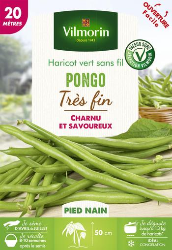Visuel 1 du produit Graines haricot vert nain Pongo coloris vert Vilmorin jardin  - graines à semer