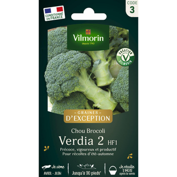 Visuel 1 du produit Sachet de semences potagères de graines de chou Brocoli Verdia 2 HF1 Graines d'Exception
