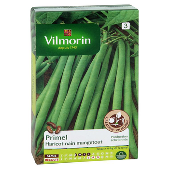 Visuel 1 du produit Haricot Nain Mangetout Primel Vilmorin - graines à semer